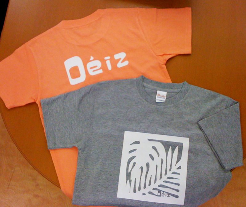 Deiz